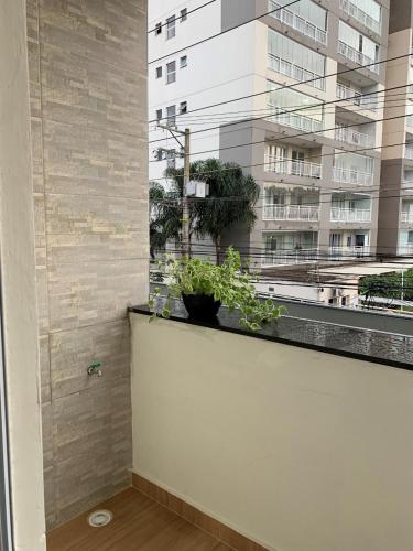 Catumbi Studio 3, São Paulo (fotografie 8)