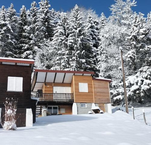Vue imprenable , lac des Rousses 2 km gîte à louer Bois-d'Amont