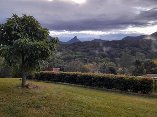 A view of Mount Warning in Dum Dum