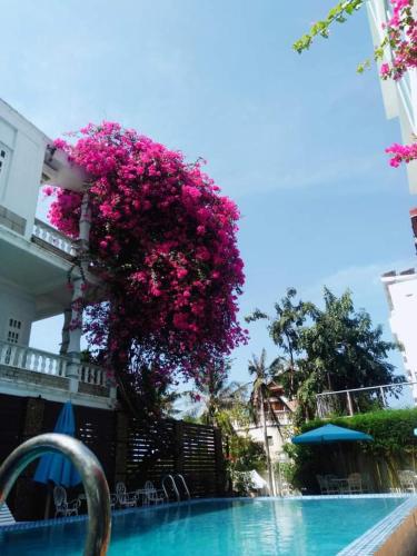 Sea Mountain Hotel in Phường 5