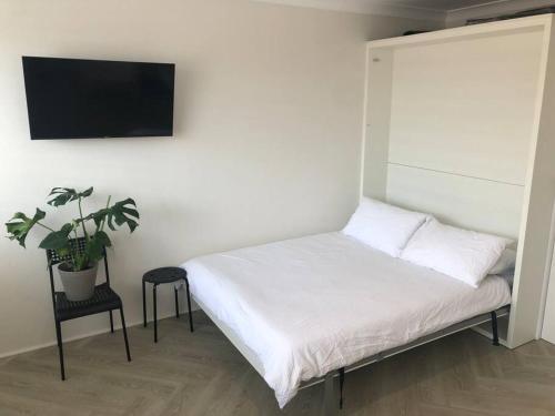 Big studio + parking in the heart of Potts Point