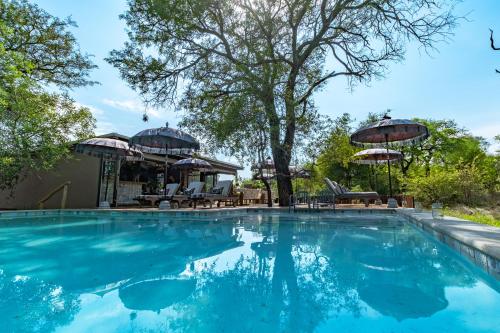 334096781 Safari Moon Luxury Bush Lodge