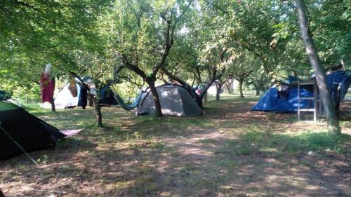 Room in Holiday park - Camping near Venice chambre d'hôte Venise