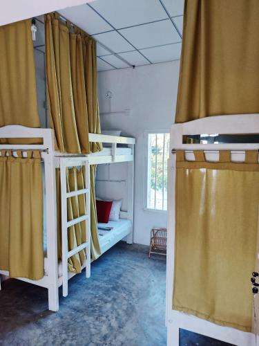 Little Tuna Surf Hostel