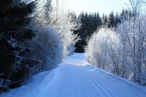 周邊環境, Ferienhaus Marchhäuser 12 (Ferienhaus Marchhauser 12) in 海德米勒