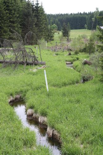 周邊環境, Ferienhaus Marchhäuser 12 (Ferienhaus Marchhauser 12) in 海德米勒