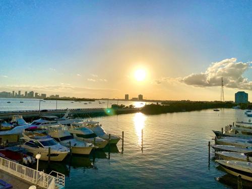 Deluxe waterfront one bedroom apartment with Miami Skyline view, free parking 5 mins drive to Miami Beach in Miami Beach, USA