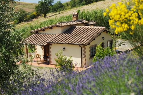 Le Capannacce - Hotel - Cinigiano