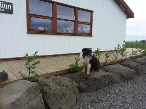 . Skálinn between Gullfoss and Geysir - Myrkholt Farm