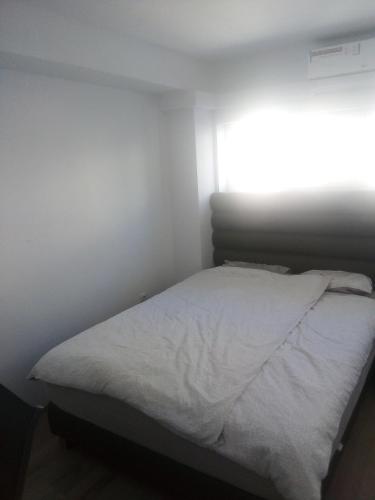 Elite Apartments