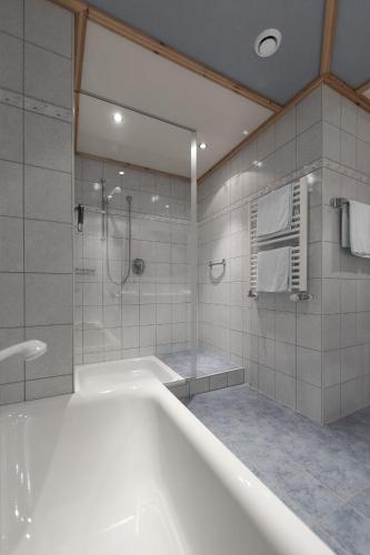 Aktiv-Hotel Traube - image 6