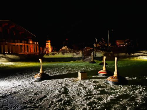 Hotel Gasthof Adler - image 12