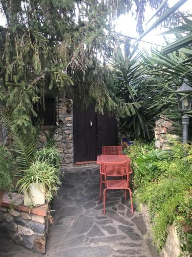 Bungalow with Garden View