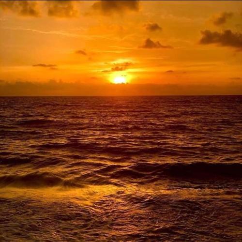 Marari Das Beach villa photo