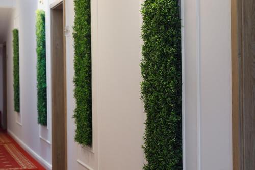 Manor Ski Hotel (Cabana Schiorilor) - image 13