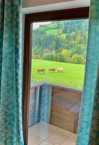 Fleckalm Chalets, Kirchberg in Tirol (fotografie 3)