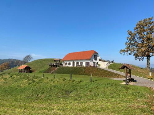 Tourist farm Artisek - Hotel - Štore