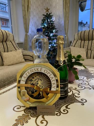 豪华怀旧公寓 豪华怀旧公寓