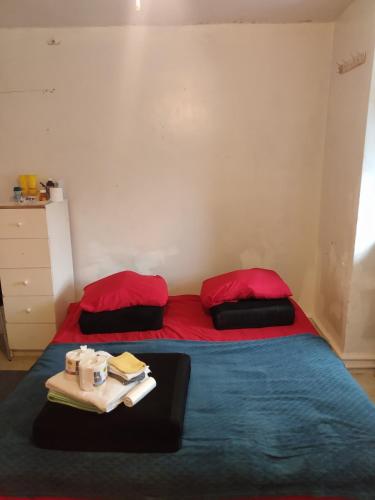 Donna Burton Roomies Housing