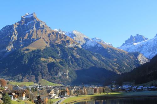  Wunderstay Alpine 303 New Studio with Lake & Mountain View, Pension in Engelberg bei Melchtal