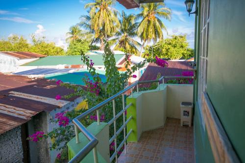 منظر, Mikado Surf Camp in ثا أتول