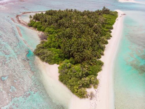 Nabij attractie, Mikado Surf Camp in Thaa Atoll
