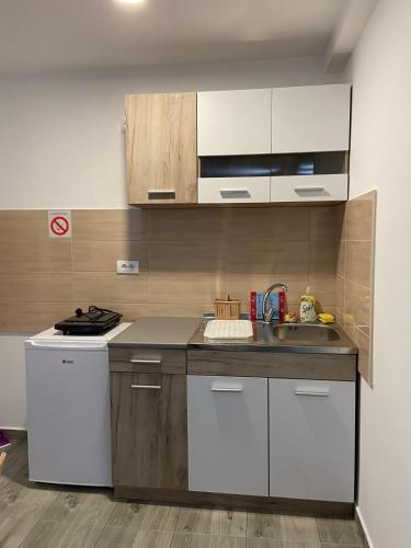 Vila Nika in Crni Vrh