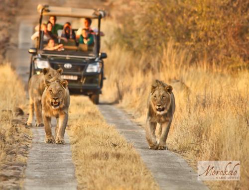 Morokolo Safari Lodge Self-catering