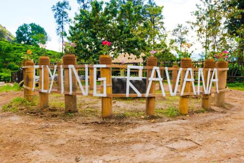 Flying Ravana Basecamp
