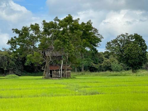 Thilina Homestay