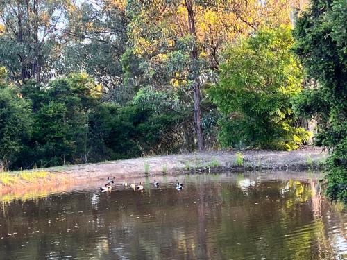 Carinya Cottage Hunter Valley - Nature retreat