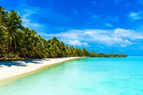 Temata Estate Rarotonga