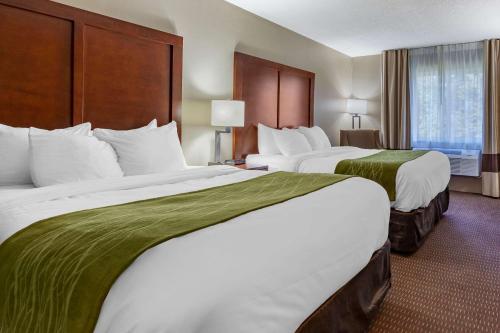 Queen Room with Two Queen Beds - Non-Smoking