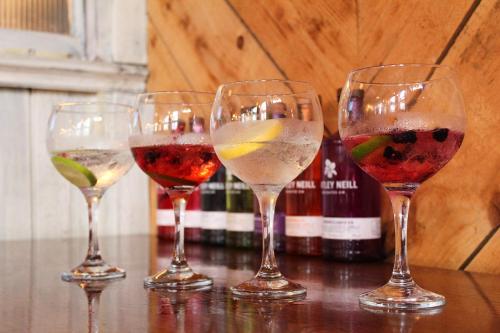 Arena Black Lion - image 3