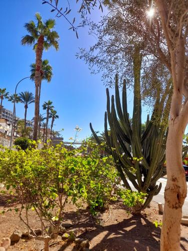 Vista Bella - Planta baja al lado de la piscina - Ground floor by the pool