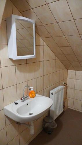Bathroom, Pajkos Poni Vendeghaz in Miskolc