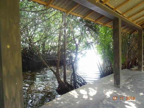 Mangrove Villa Yoga Retreat