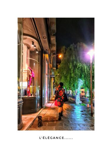 ホテル ル プティ トリアノン