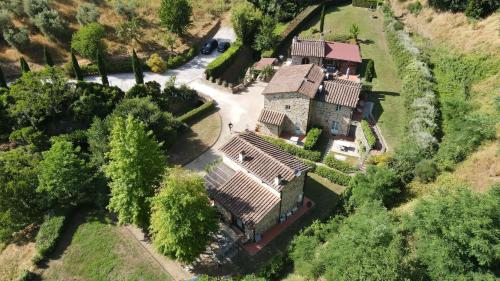 Il Borghetto Andrea Tafi