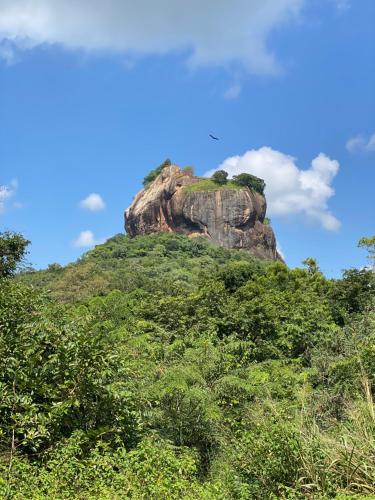 . The Elephant Hide villa Sigiriya