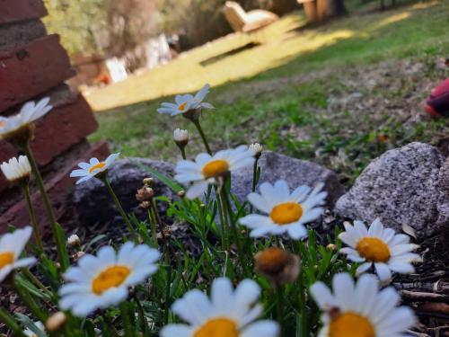 Serendipia Chalets de Montaña