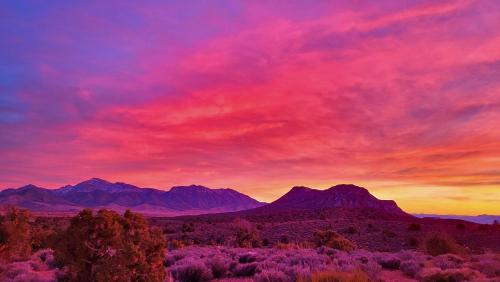 Glamping Adventures LV - image 8