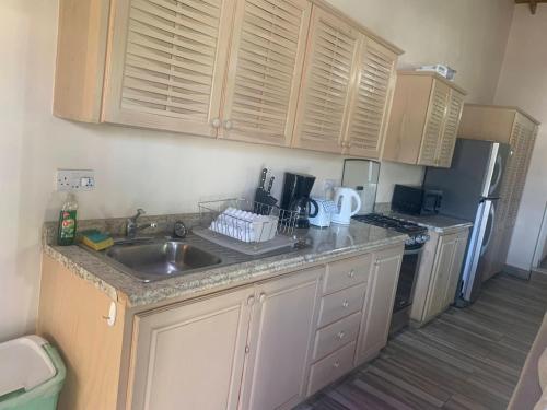Kitchen, Cool Running Apartments near Maurice Bishop International Airport
