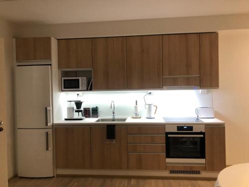 2 rooms, in front of the sea, free parking, Oulu (photo 7)