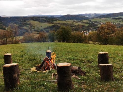 Siedlisko Pod Pucharami