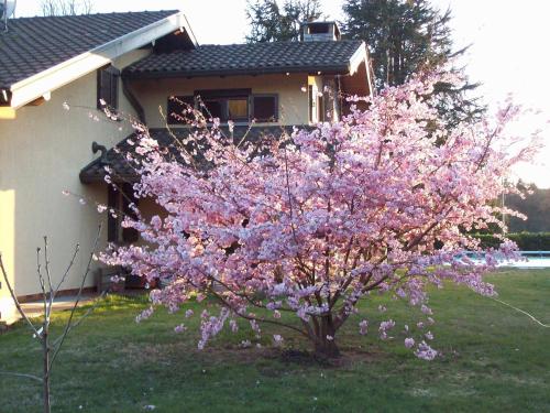 Viesnīcas āriene, B&B Il Ciliegio in Galliate Lombardo