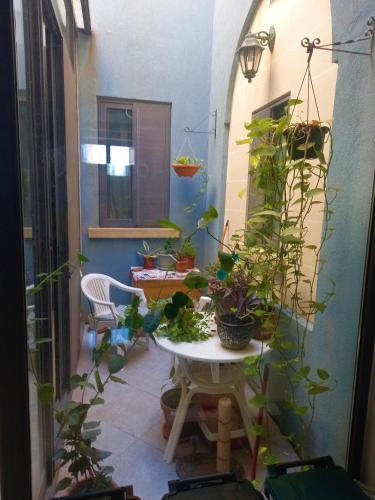 Cittadella b&b 4