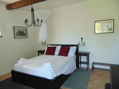 Villa Bella Rosa – photo 5