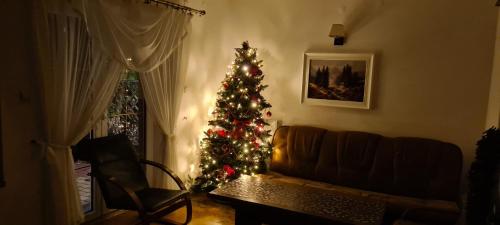 . Apartament Kazimierza Wielkiego