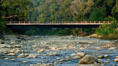 TIMLANSH THE JUNGLE VIEW kundan homestay